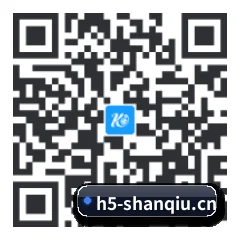 APP 安卓 二维码